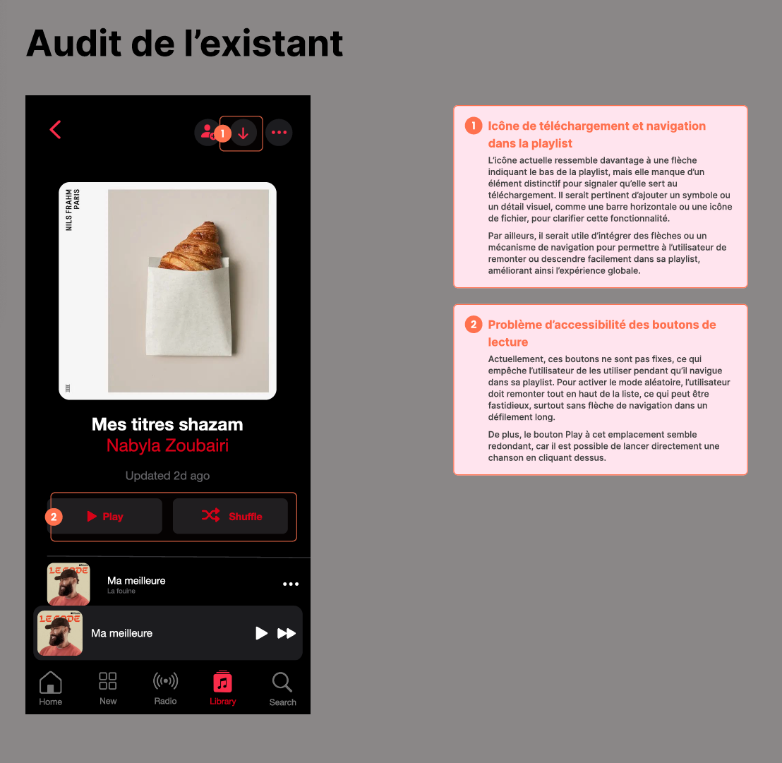 Apple Music Audit